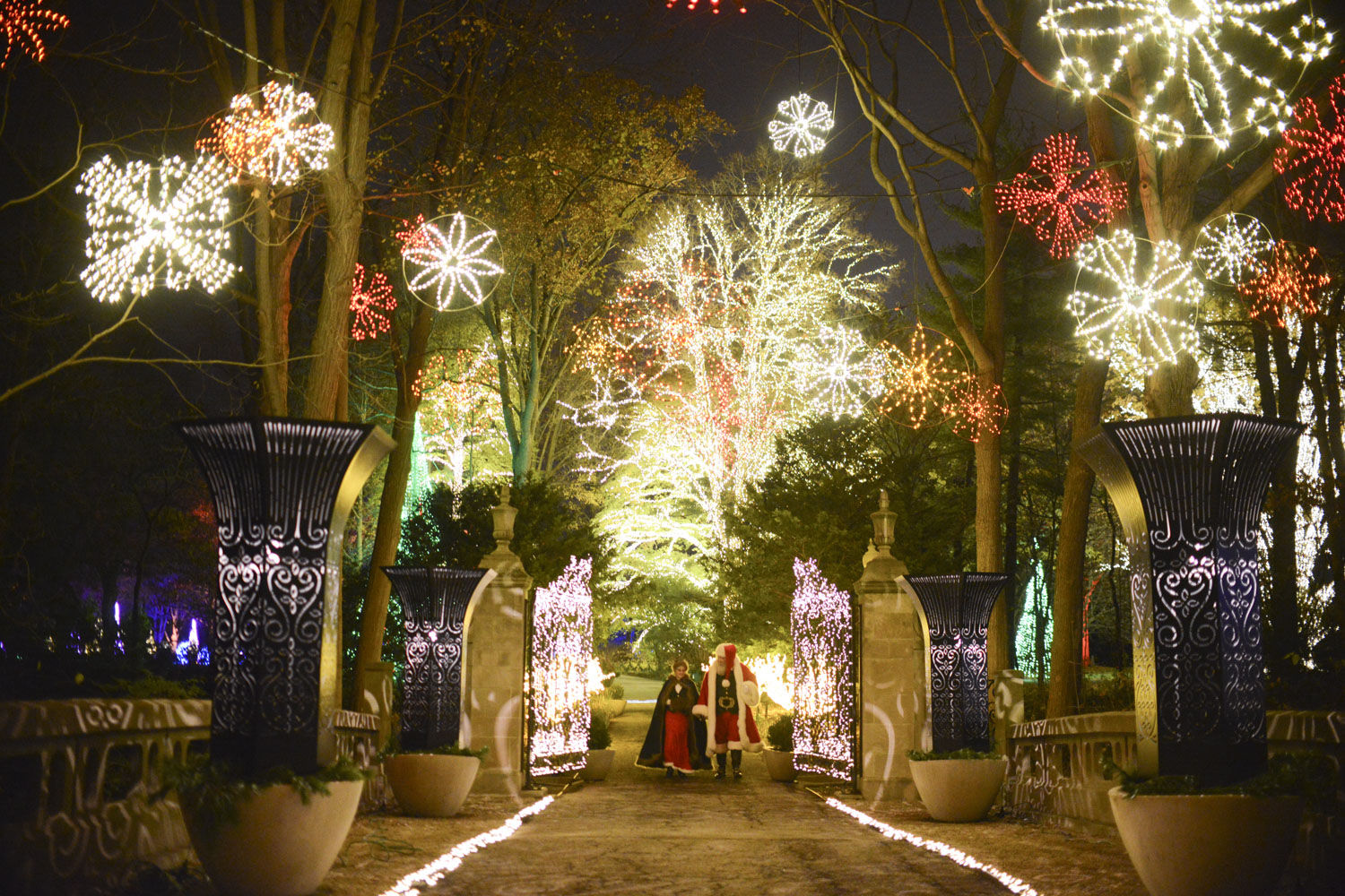 Winterlights11.jpg